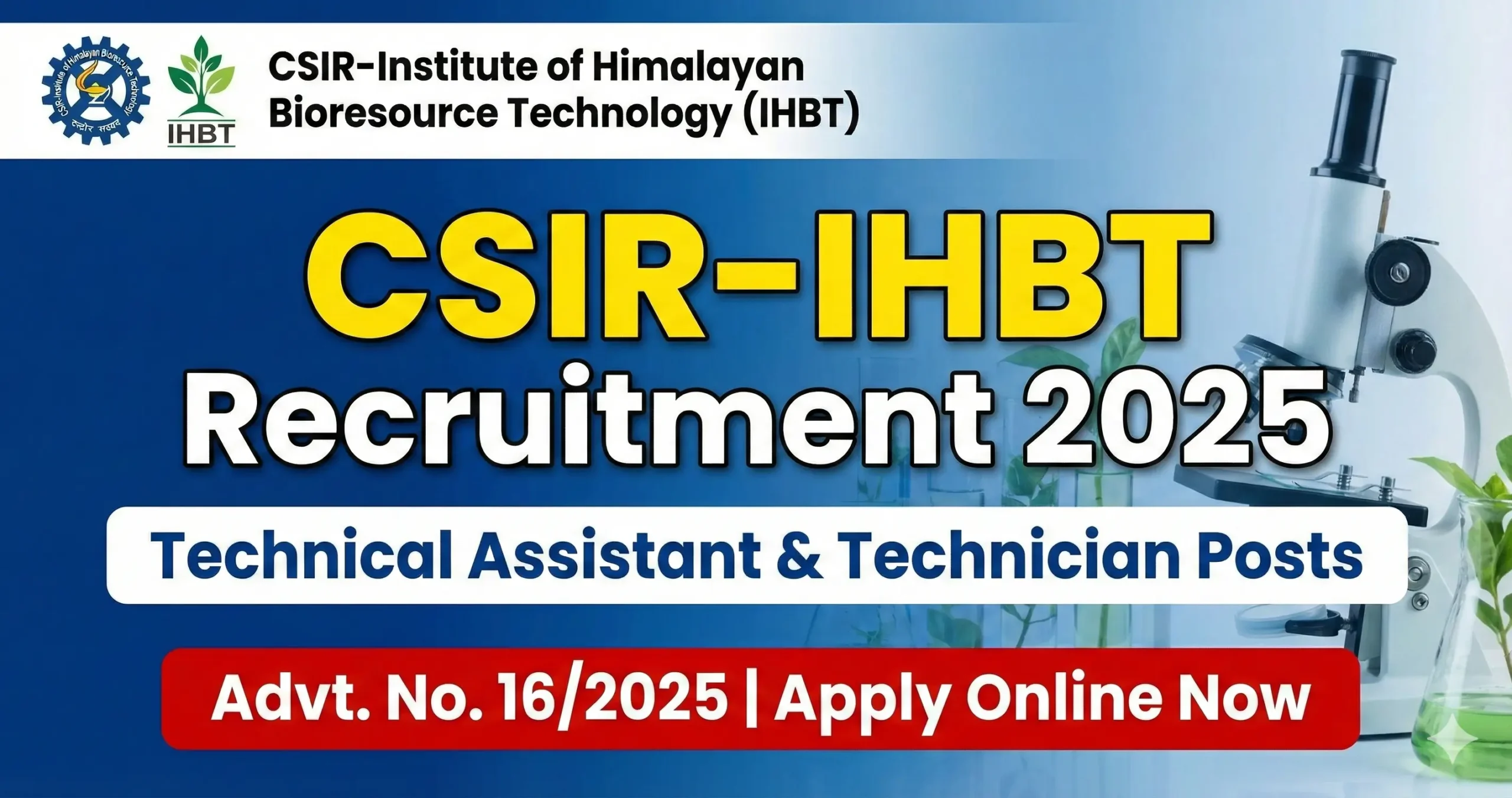 Gemini Generated Image vlr77bvlr77bvlr7 scaled Latest Job